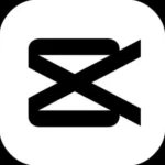 freelance digital marketing analyst in sharja showing capcut logo